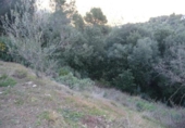 Land suitable for development for sale on España, Matadepera, ref: TR128742 photo