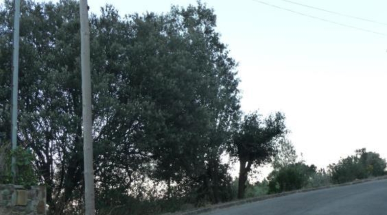 Barcelona - Matadepera - 2111m2