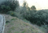Land suitable for development for sale on España, Matadepera, ref: TR128742 photo