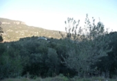 Land suitable for development for sale on España, Matadepera, ref: TR128742 photo