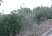 Land suitable for development for sale on España, Matadepera, ref: TR128742 photo