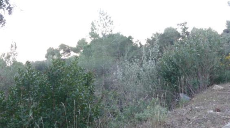 Barcelona - Matadepera - 2111m2