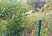 Urban land for sale on España, Abrera, ref: TR131126 photo