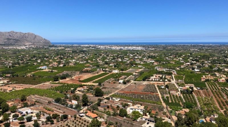 Alicante - Pedreguer - 1200m2