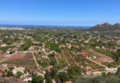 Non-developable land for sale on España, Pedreguer, ref: TR131354 photo