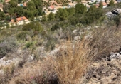 Non-developable land for sale on España, Pedreguer, ref: TR131354 photo