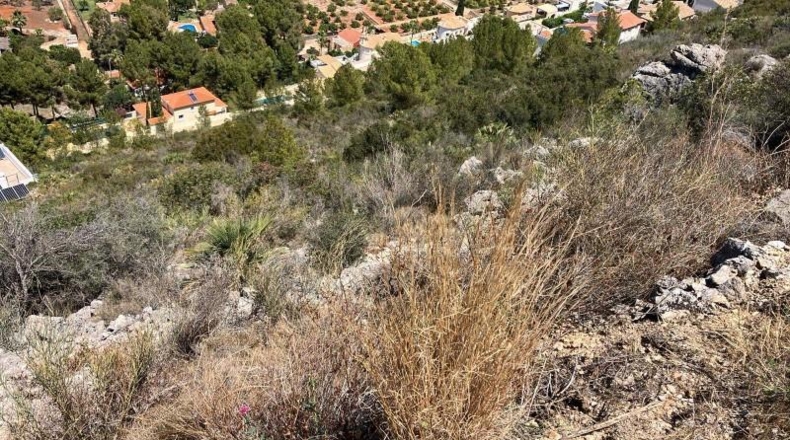 Alicante - Pedreguer - 1200m2
