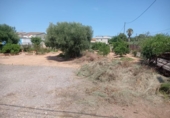 Sòl urbà en venda a la España, Castelló de la Plana, ref.: TR132103 foto