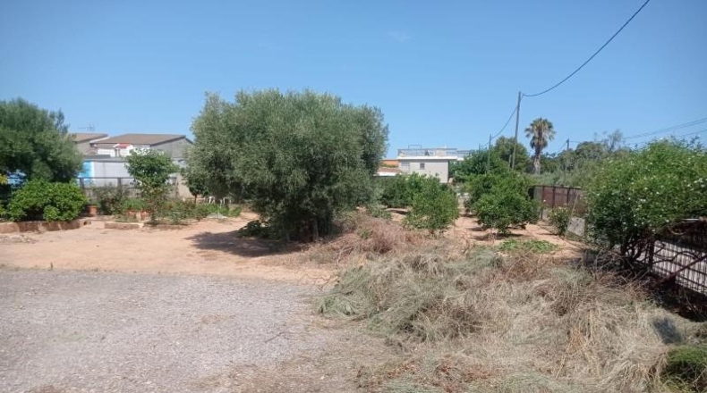 Castellon - Castellón de la Plana - 850m2