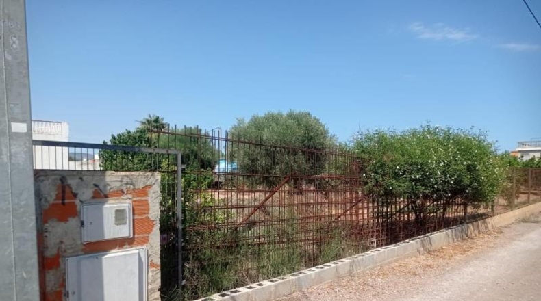 Castellon - Castellón de la Plana - 850m2