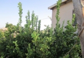 Non-developable land for sale on España, Novelda, ref: TR129235 photo