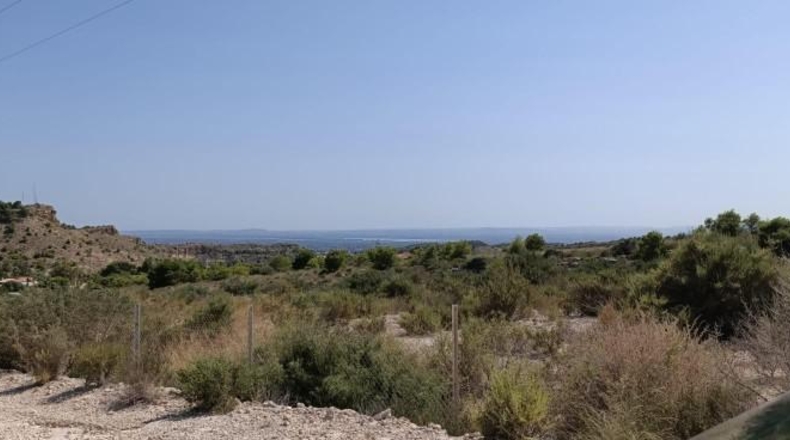 Alicante - Elche - 19000m2