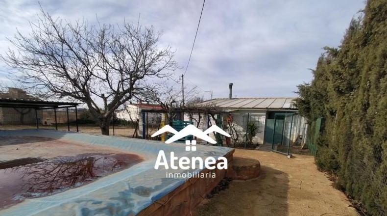 Albacete - Ла-Рода - 8000m2