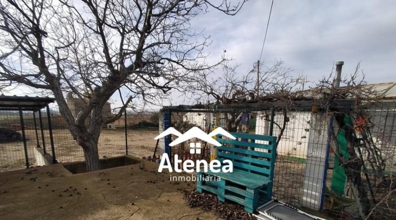 Albacete - Ла-Рода - 8000m2