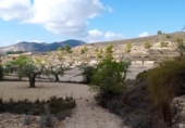 Terreny no urbanitzable en venda a la España, el Fondó de les Neus, ref.: TR236791 foto