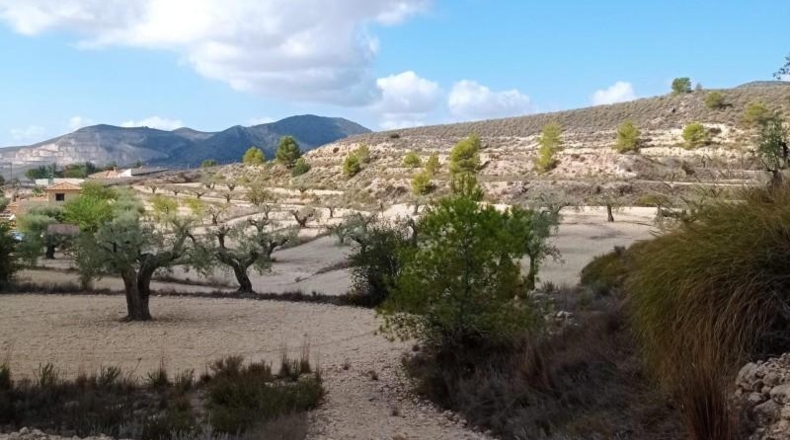 Alicante - Hondón de las Nieves - 58269m2