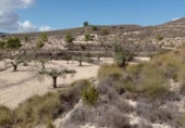 Terreny no urbanitzable en venda a la España, el Fondó de les Neus, ref.: TR236791 foto
