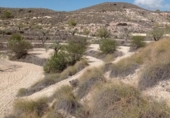Terreny no urbanitzable en venda a la España, el Fondó de les Neus, ref.: TR236791 foto