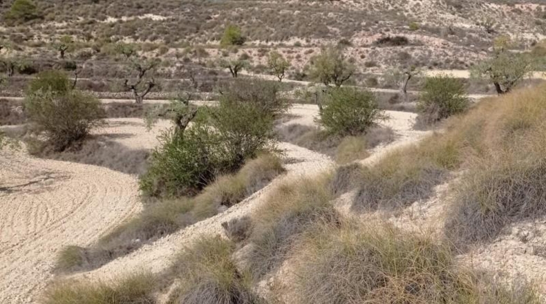 Alicante - Hondón de las Nieves - 58269m2