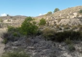 Terreny no urbanitzable en venda a la España, el Fondó de les Neus, ref.: TR236791 foto