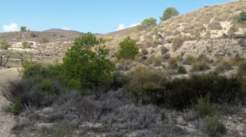 Alicante - Hondón de las Nieves - 58269m2
