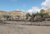 Terreny no urbanitzable en venda a la España, el Fondó de les Neus, ref.: TR236791 foto