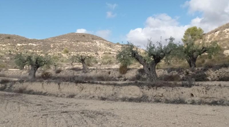 Alicante - Hondón de las Nieves - 58269m2