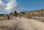 Terreny no urbanitzable en venda a la España, el Fondó de les Neus, ref.: TR236791 foto