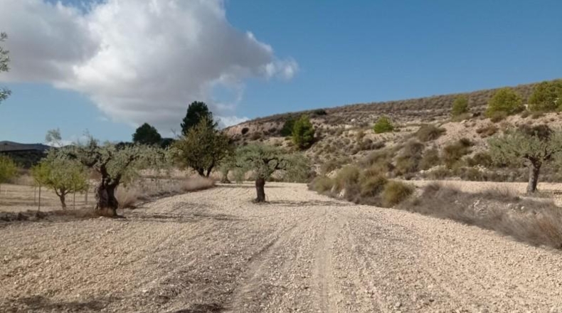 Alicante - Hondón de las Nieves - 58269m2