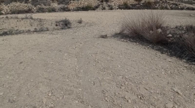 Alicante - Hondón de las Nieves - 58269m2