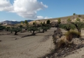 Terreny no urbanitzable en venda a la España, el Fondó de les Neus, ref.: TR236791 foto
