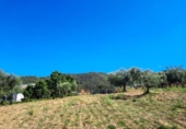 Parcel·la urbanitzable en venda a la España, Castellar del Vallès, ref.: TR218209 foto