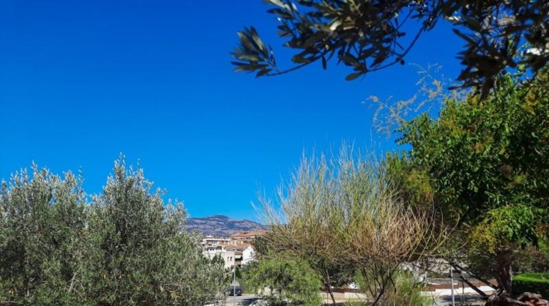 Barcelona - Castellar del Vallès - 475m2