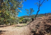 Parcel·la urbanitzable en venda a la España, Castellar del Vallès, ref.: TR218209 foto