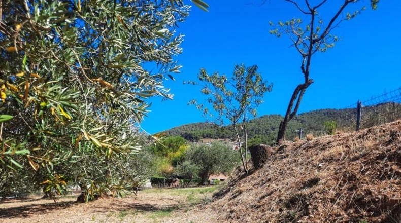 Barcelona - Castellar del Vallès - 475m2