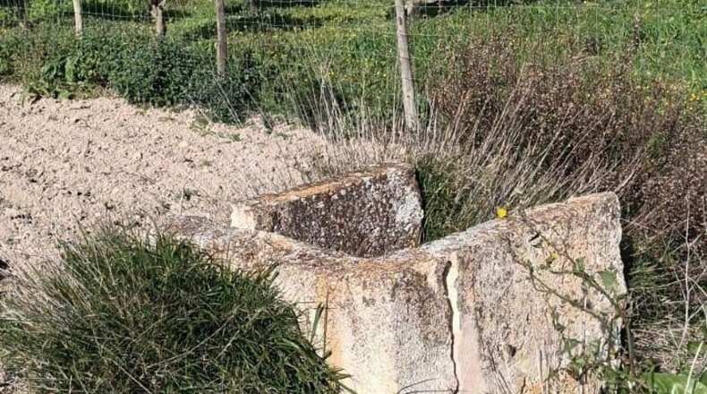 Balearic Islands - Muro - 7621m2