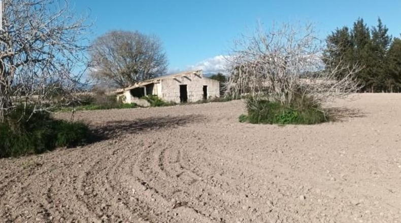 Balearic Islands - Muro - 7621m2