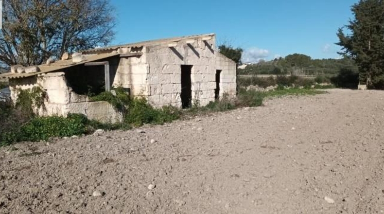 Balearic Islands - Muro - 7621m2