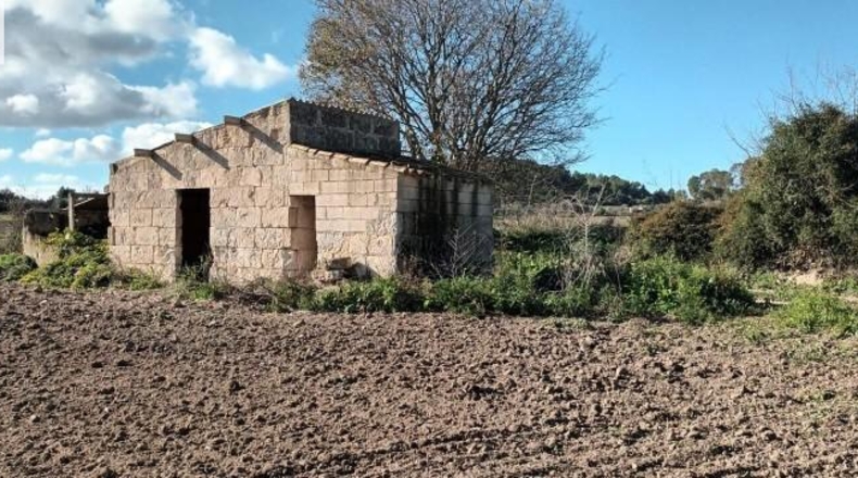 Balearic Islands - Muro - 7621m2