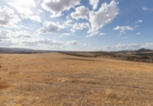 Non-developable land for sale on España, Villa de Otura, ref: TR344407 photo