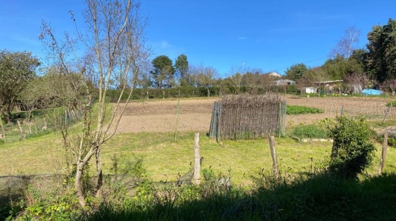 Cantàbria - Castro-Urdiales - 3226m2