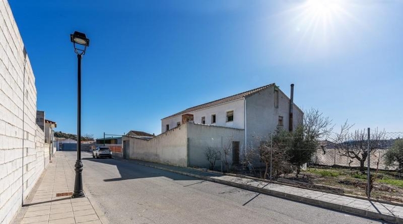 Granada - Cortes de Baza - 800m2