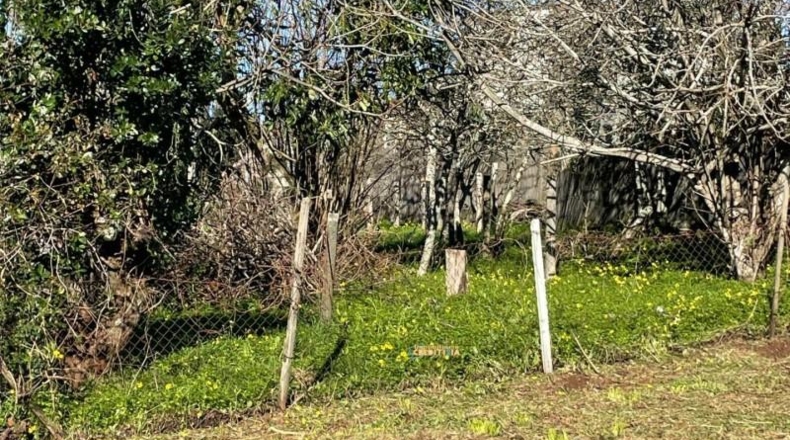 Pontevedra - Vigo - 719m2