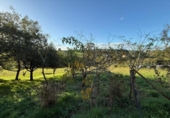 Parcel·la urbanitzable en venda a la España, Ciudad Residencial Perlora, ref.: TR362326 foto