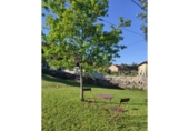 Chalet independiente con terreno en venta en la España, Pontevedra, ref: TR356004 foto