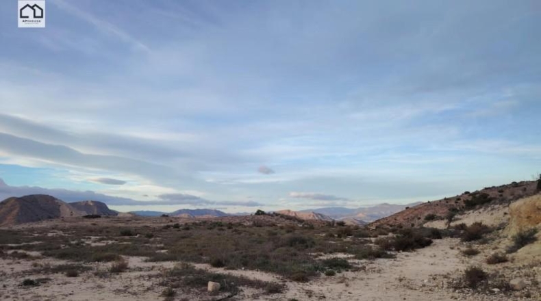 Alicante - Aspe - 35000m2
