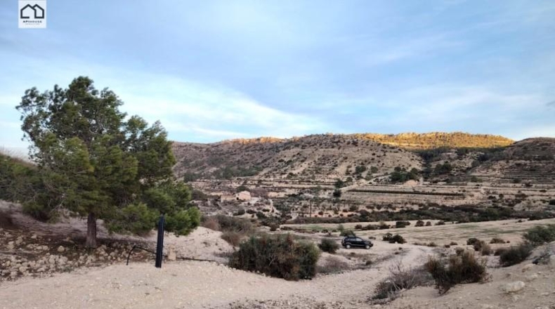 Alicante - Aspe - 35000m2