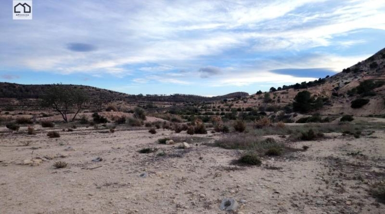 Alicante - Aspe - 35000m2