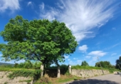 Land suitable for development for sale on España, Gondomar, ref: TR112364 photo