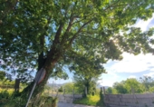 Land suitable for development for sale on España, Gondomar, ref: TR112364 photo